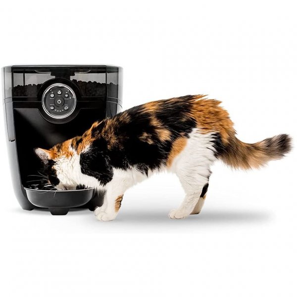 automatic cat feeder wifi